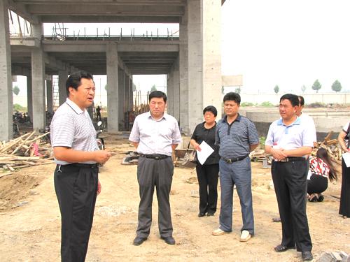 省市人大代表视察我县中心镇创建工作